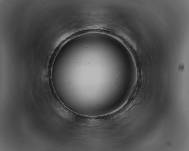 X0000102491308200808081319