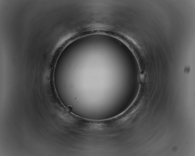 X0000102491309200808081319