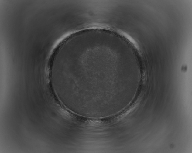 X0000102491310200808081319