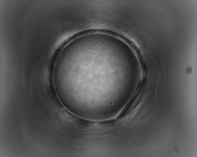 X0000102491311200808081319