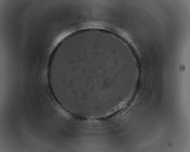 X0000102491312200808081319