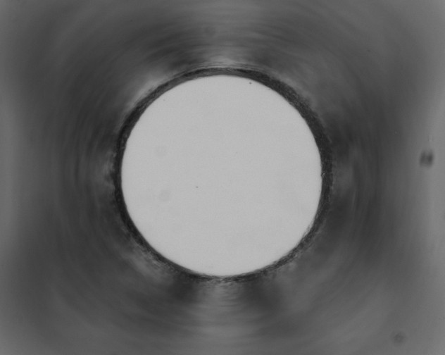 X0000102491314200808081319