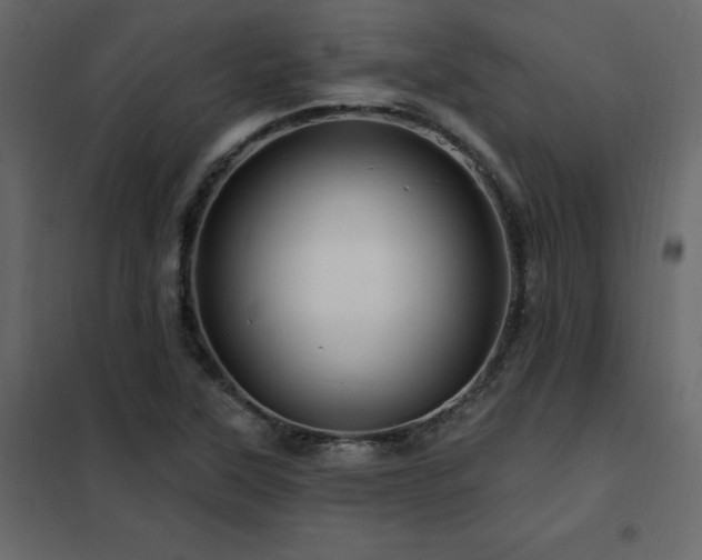 X0000102491315200808081319