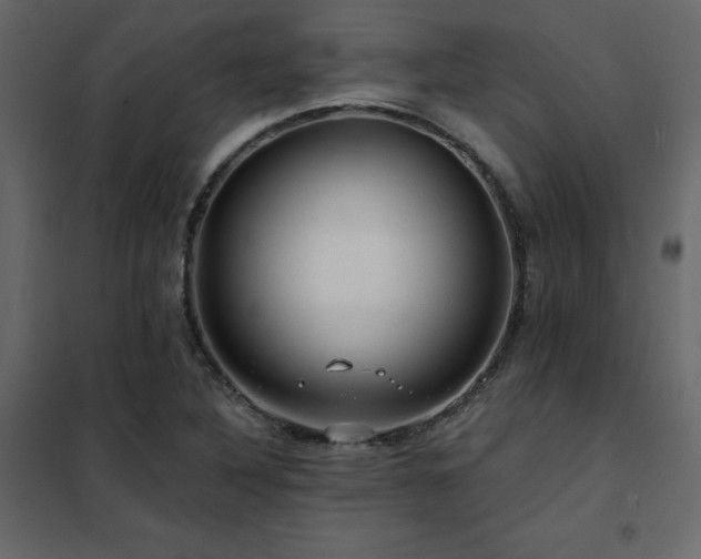 X0000102491316200808081319