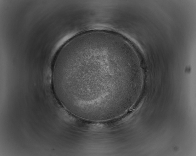 X0000102491317200808081319