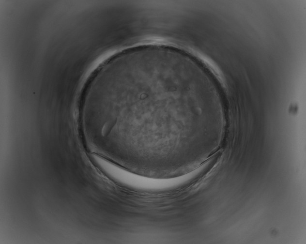 X0000102491318200808081319