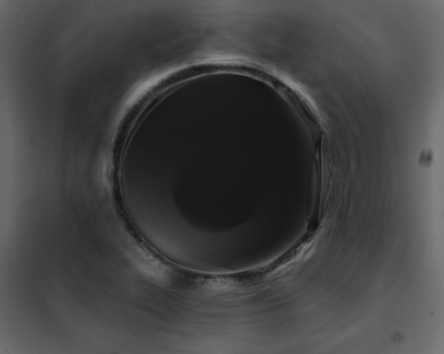 X0000102491319200808081319