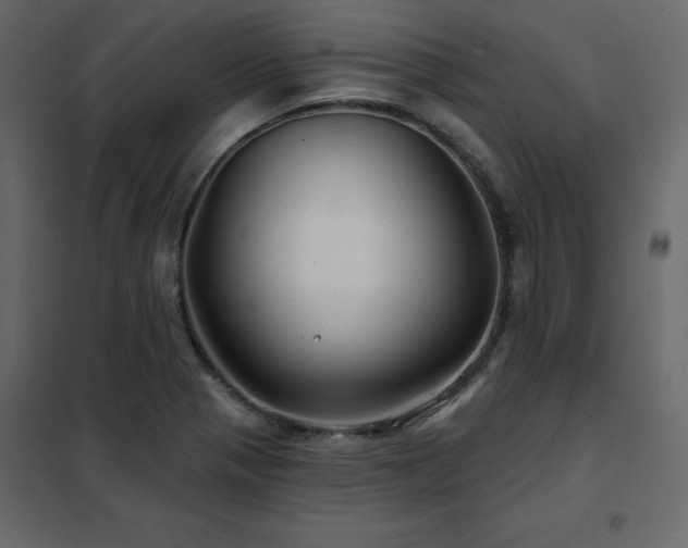 X0000102491321200808081319