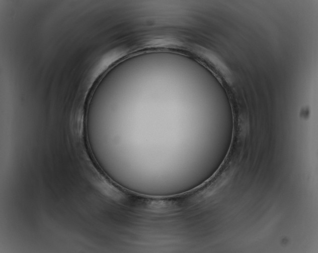 X0000102491322200808081319