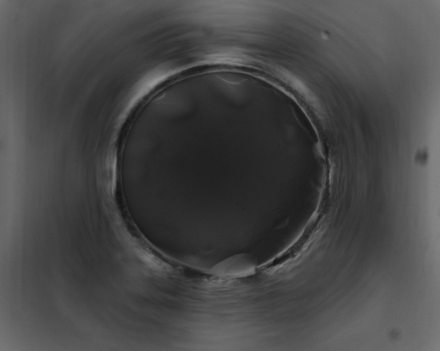 X0000102491323200808081319