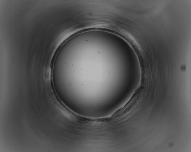 X0000102491324200808081319