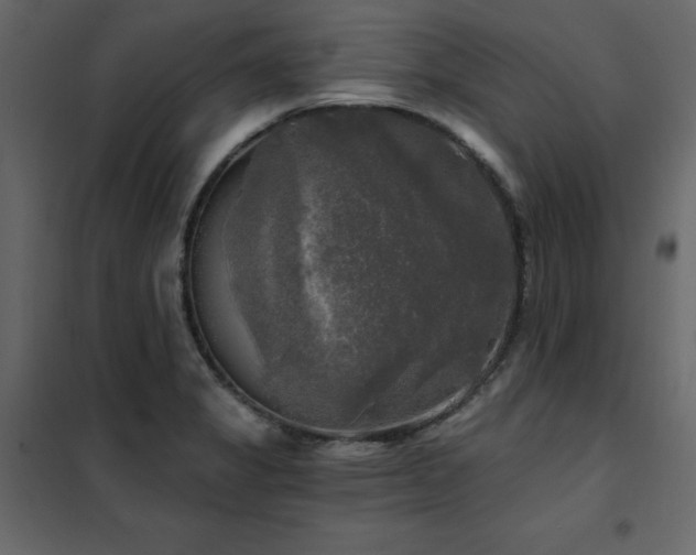 X0000102491325200808081319