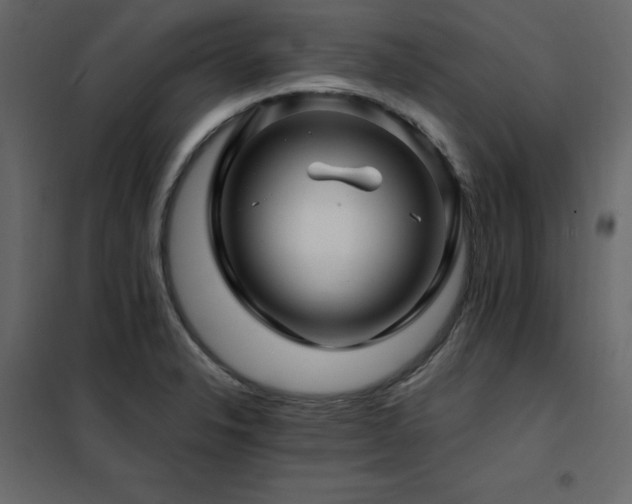 X0000102491326200808081319