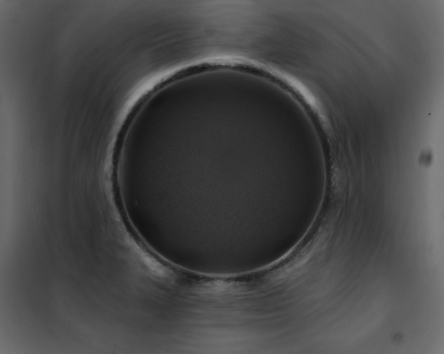 X0000102491327200808081319