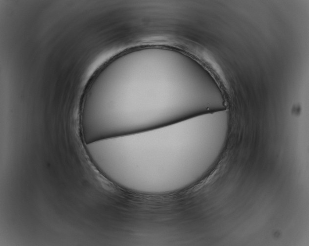 X0000102491328200808081319
