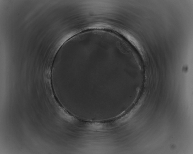 X0000102491329200808081319