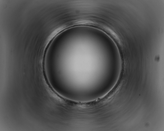 X0000102491330200808081319