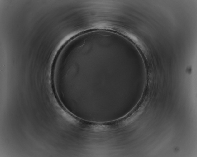 X0000102491331200808081319
