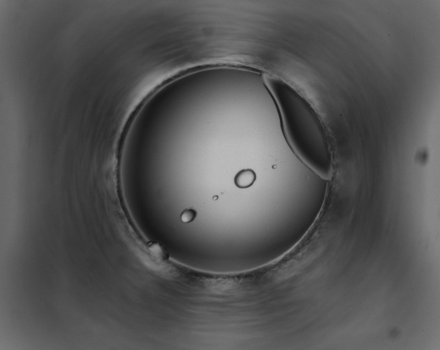 X0000102491332200808081319