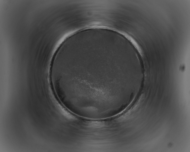 X0000102491333200808081319