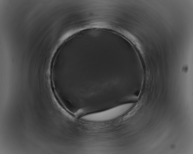 X0000102491334200808081319