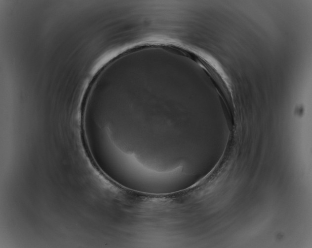 X0000102491335200808081319