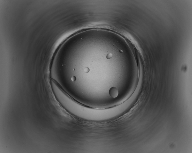 X0000102491336200808081320