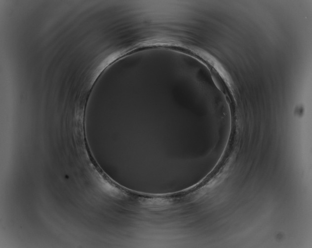 X0000102491337200808081320