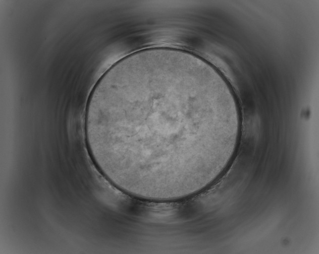 X0000102491338200808081320
