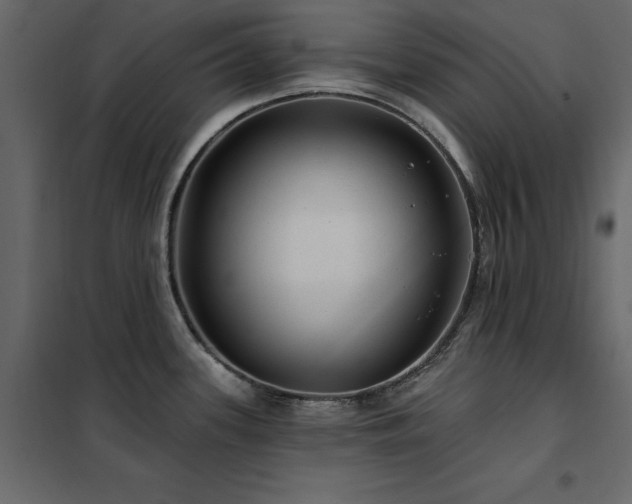 X0000102491339200808081320
