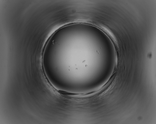 X0000102491340200808081320