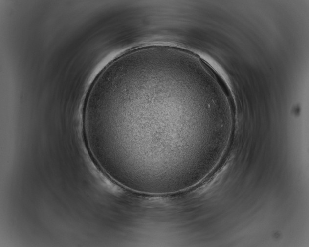 X0000102491341200808081320