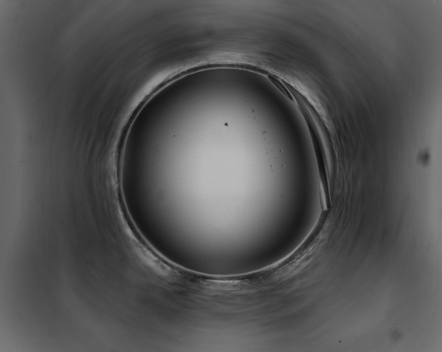 X0000102491342200808081320