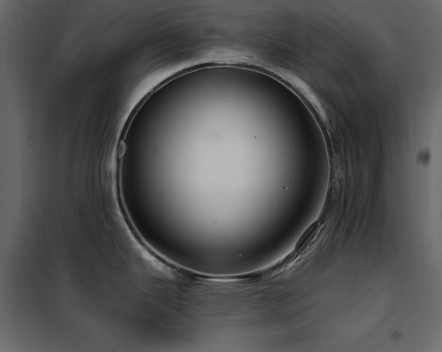 X0000102491343200808081320