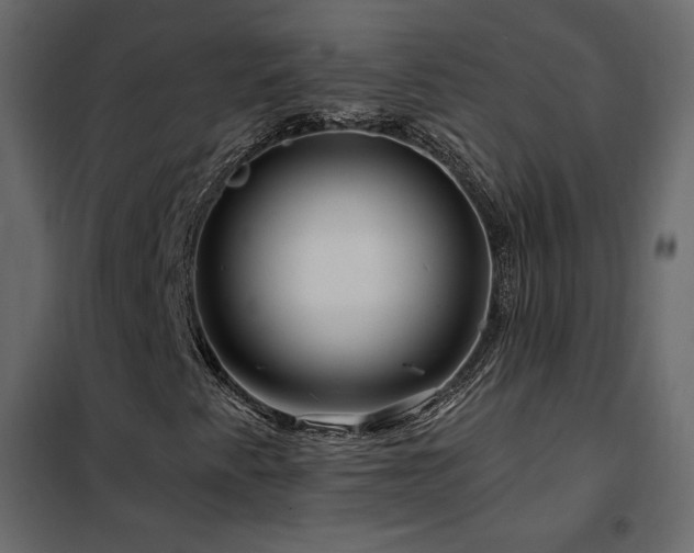 X0000102491345200808081319