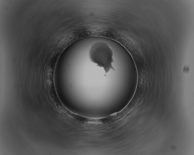 X0000102491346200808081319