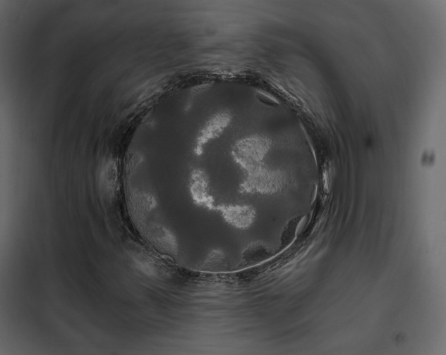 X0000102491347200808081319