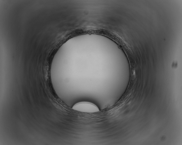 X0000102491348200808081319