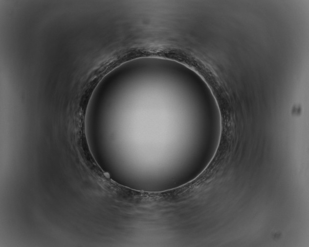 X0000102491349200808081319