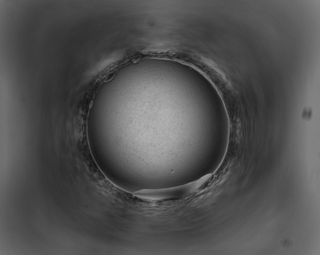 X0000102491350200808081319