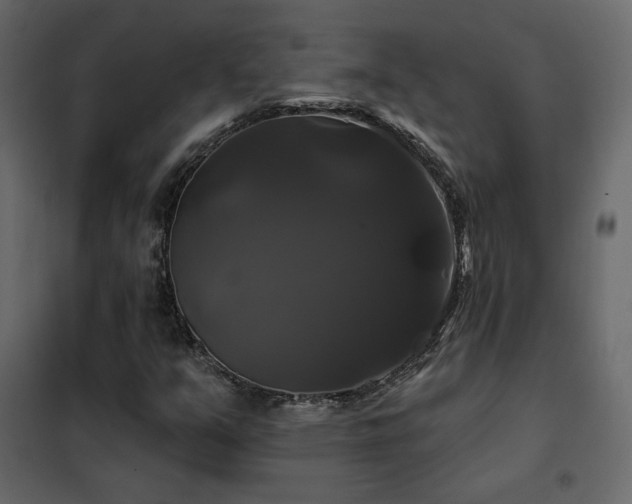 X0000102491351200808081319