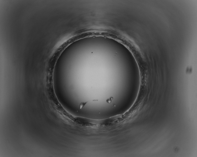 X0000102491352200808081319