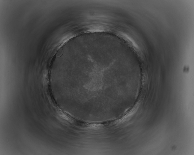 X0000102491353200808081319