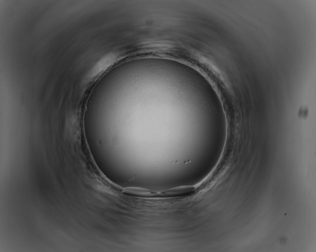 X0000102491354200808081319