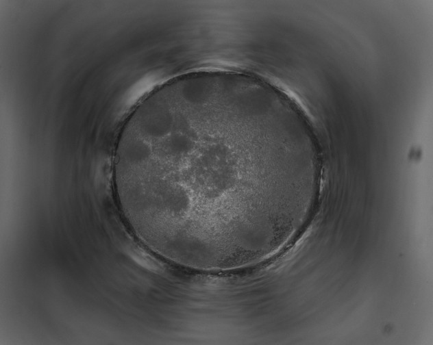 X0000102491355200808081319