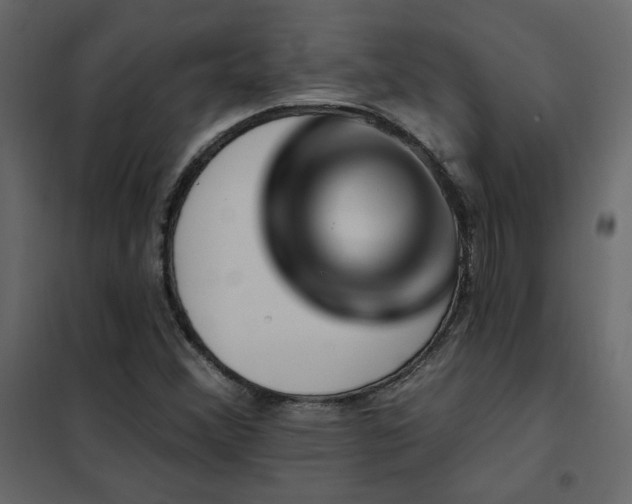 X0000102491356200808081319