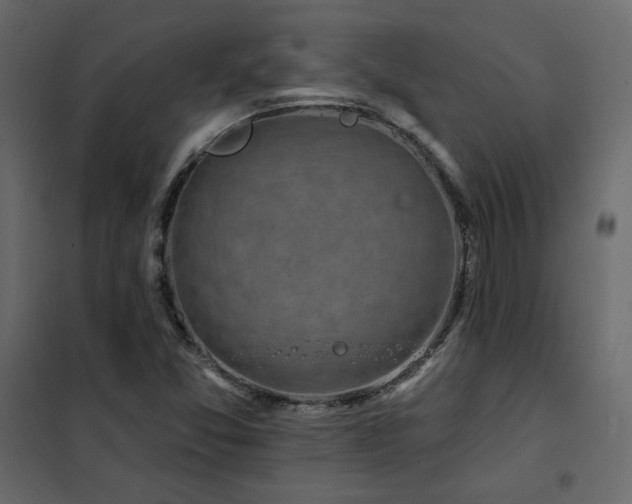 X0000102491357200808081319