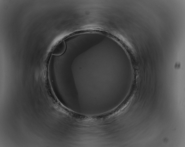 X0000102491358200808081319