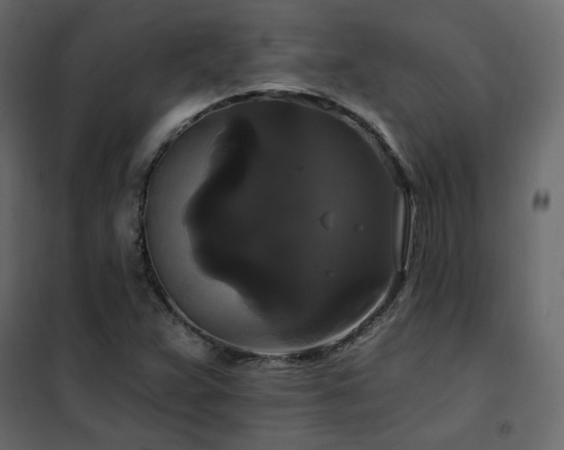 X0000102491359200808081319