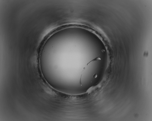 X0000102491360200808081319
